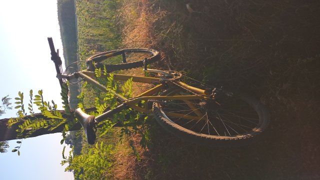 Klein Pulse Pro '98 #215
