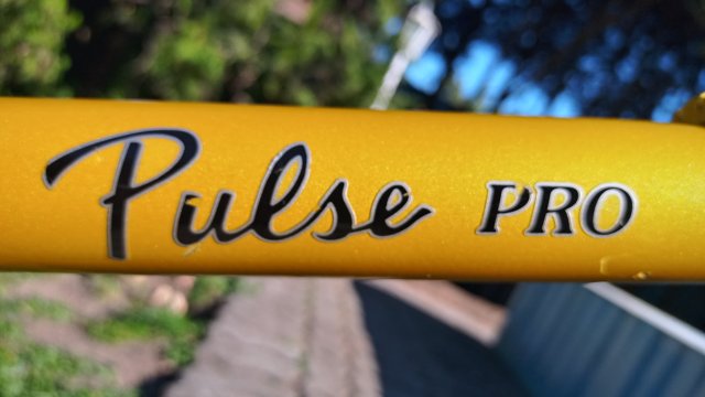 Klein Pulse Pro '98 #26