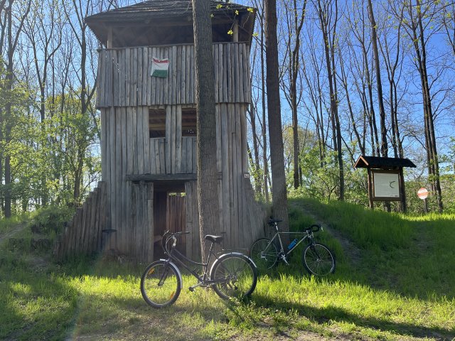 Litespeed 91’ titán #134
