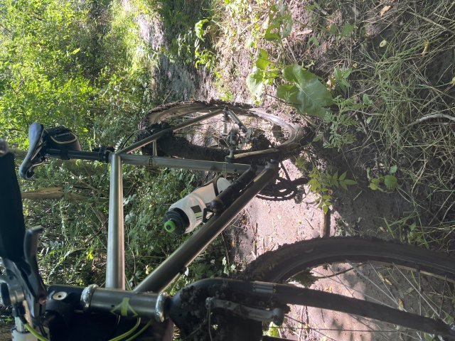 Litespeed 91’ titán #82