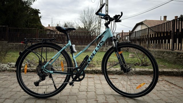 Kellys Pheebe 10(30) CRX #12