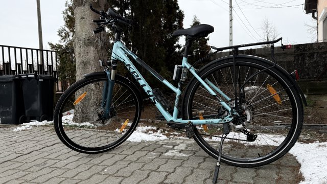 Kellys Pheebe 10(30) CRX #17