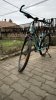 Kellys Pheebe 10(30) CRX #7