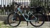 Kellys Pheebe 10 CRX #5