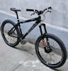 Kona Stuff / Cowan (városi patkány) #39
