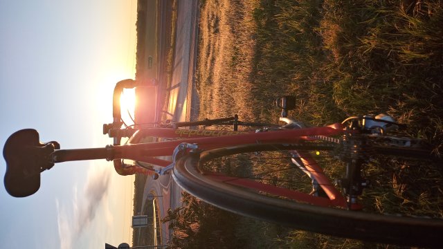 Cannondale R4000 Team Saeco '98 #243