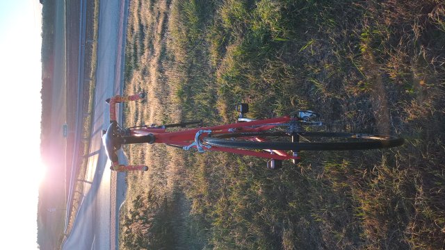 Cannondale R4000 Team Saeco '98 #245