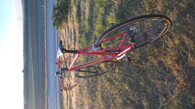 Cannondale R4000 Team Saeco '98 #252