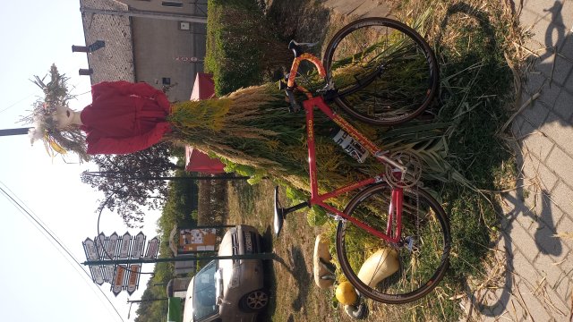 Cannondale R4000 Team Saeco '98 #290