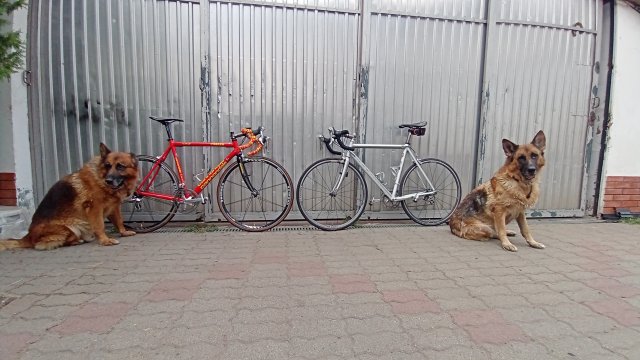 Cannondale R4000 Team Saeco '98 #296