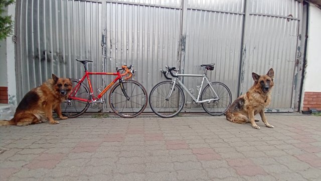 Cannondale R4000 Team Saeco '98 #297