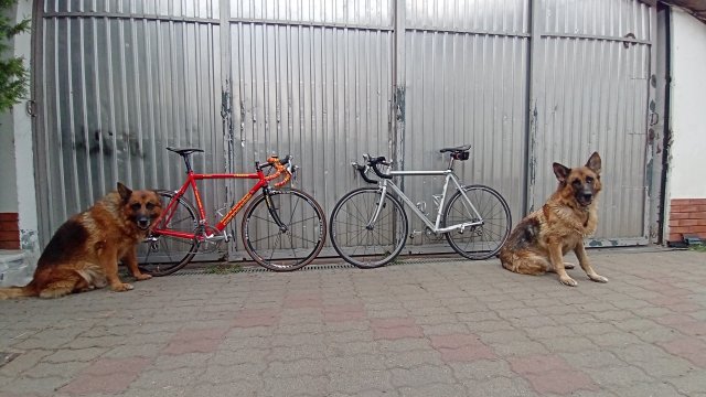 Cannondale R4000 Team Saeco '98 #298