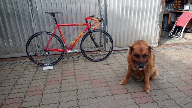 Cannondale R4000 Team Saeco '98 #380