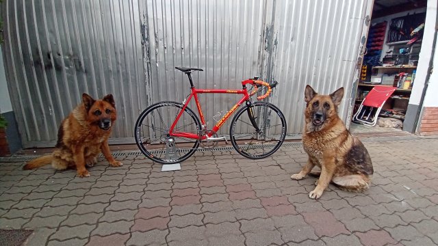 Cannondale R4000 Team Saeco '98 #384