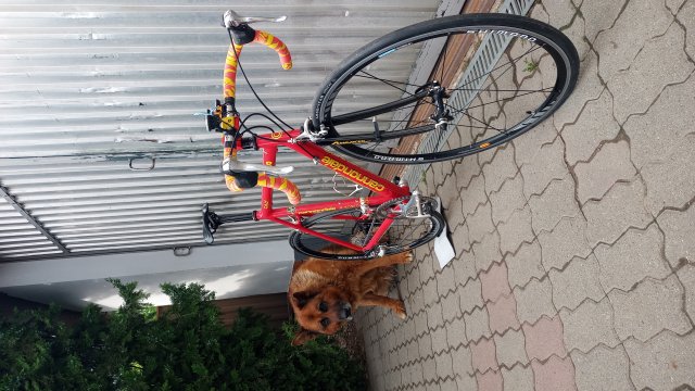 Cannondale R4000 Team Saeco '98 #385