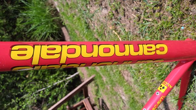 Cannondale R4000 Team Saeco '98 #34