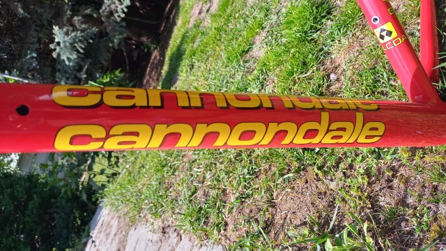 Cannondale R4000 Team Saeco '98 #42