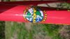 Cannondale R4000 Team Saeco '98 #43