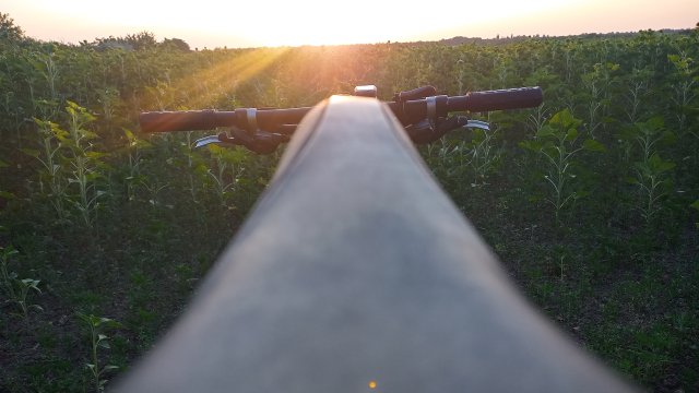 MTB 2025 #213