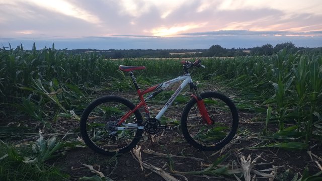 MTB 2025 #237
