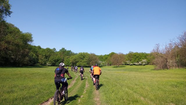 MTB 2025 #51