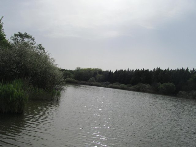 ↓ ↑Nagykanizsa 2025 #58