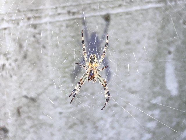 Túrafotók 2025 #200