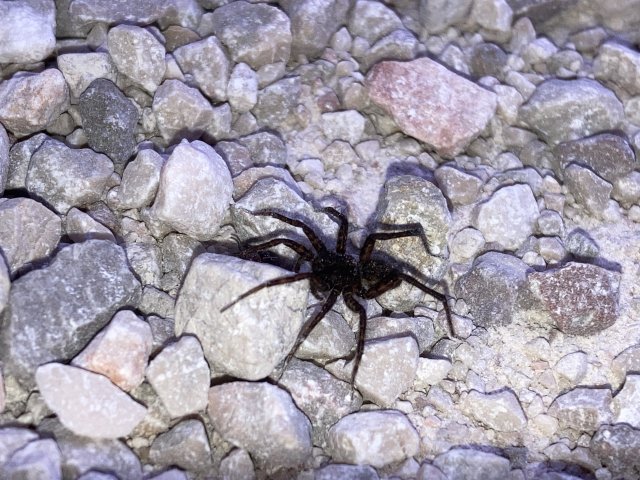 Túrafotók 2025 #201