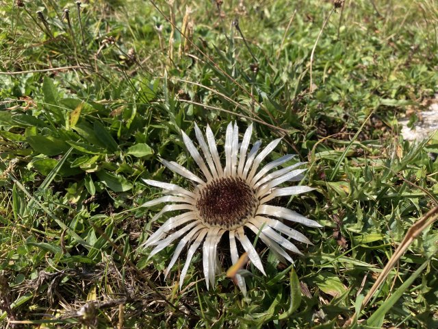 Túrafotók 2025 #202