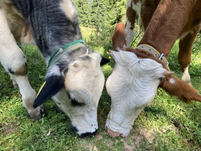 Túrafotók 2025 #203