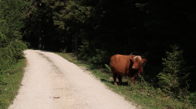 Túrafotók 2025 #205