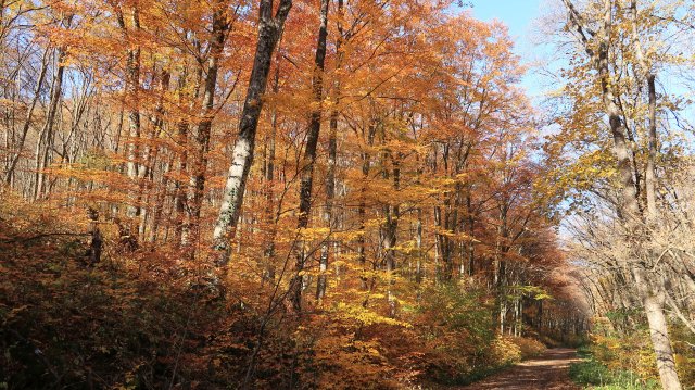 Túrafotók 2025 #309