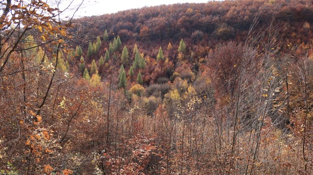 Túrafotók 2025 #310