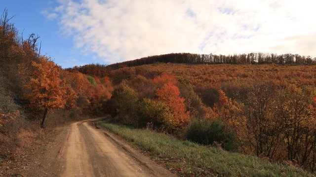 Túrafotók 2025 #311