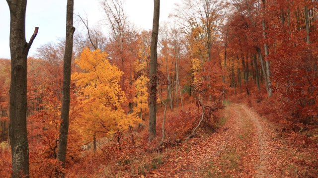 Túrafotók 2025 #318