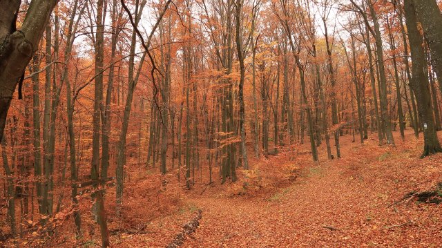 Túrafotók 2025 #322