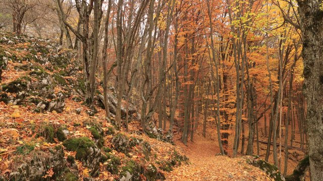 Túrafotók 2025 #323