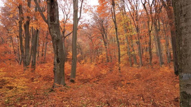 Túrafotók 2025 #325