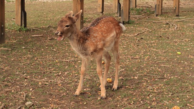 Túrafotók 2025 #326