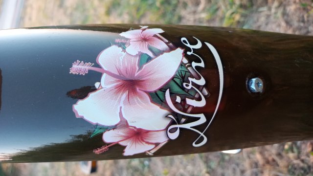 Nirve Lahaina '10 #191