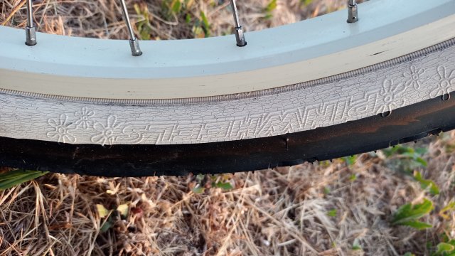 Nirve Lahaina '10 #199