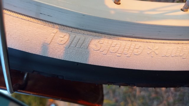 Nirve Lahaina '10 #201