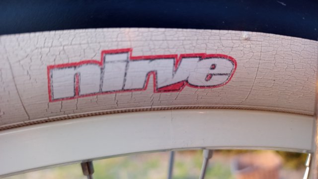 Nirve Lahaina '10 #204