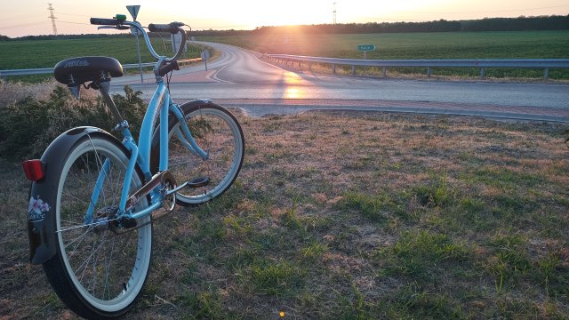 Nirve Lahaina '10 #211