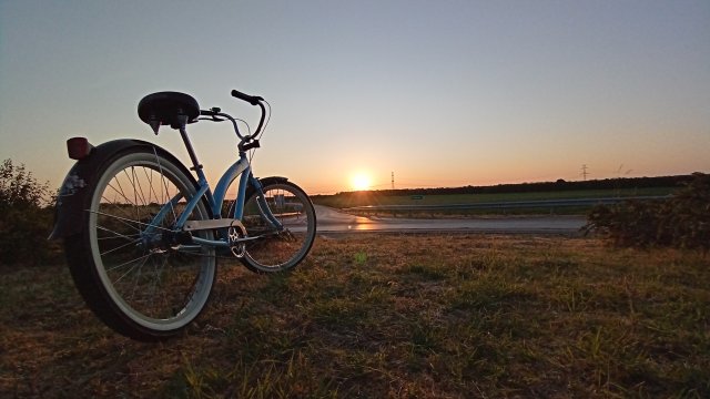 Nirve Lahaina '10 #213