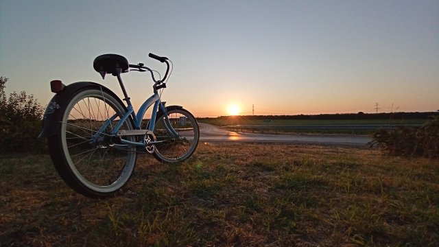 Nirve Lahaina '10 #214