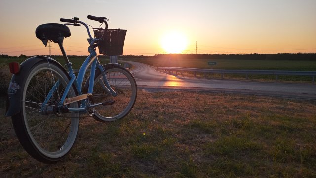 Nirve Lahaina '10 #219