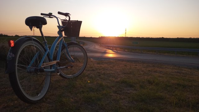 Nirve Lahaina '10 #220