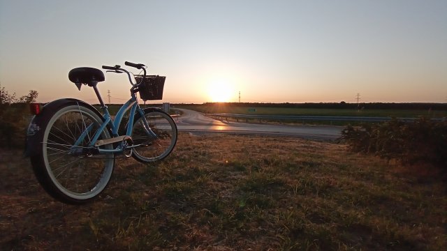 Nirve Lahaina '10 #221