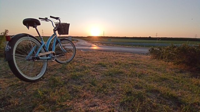 Nirve Lahaina '10 #222